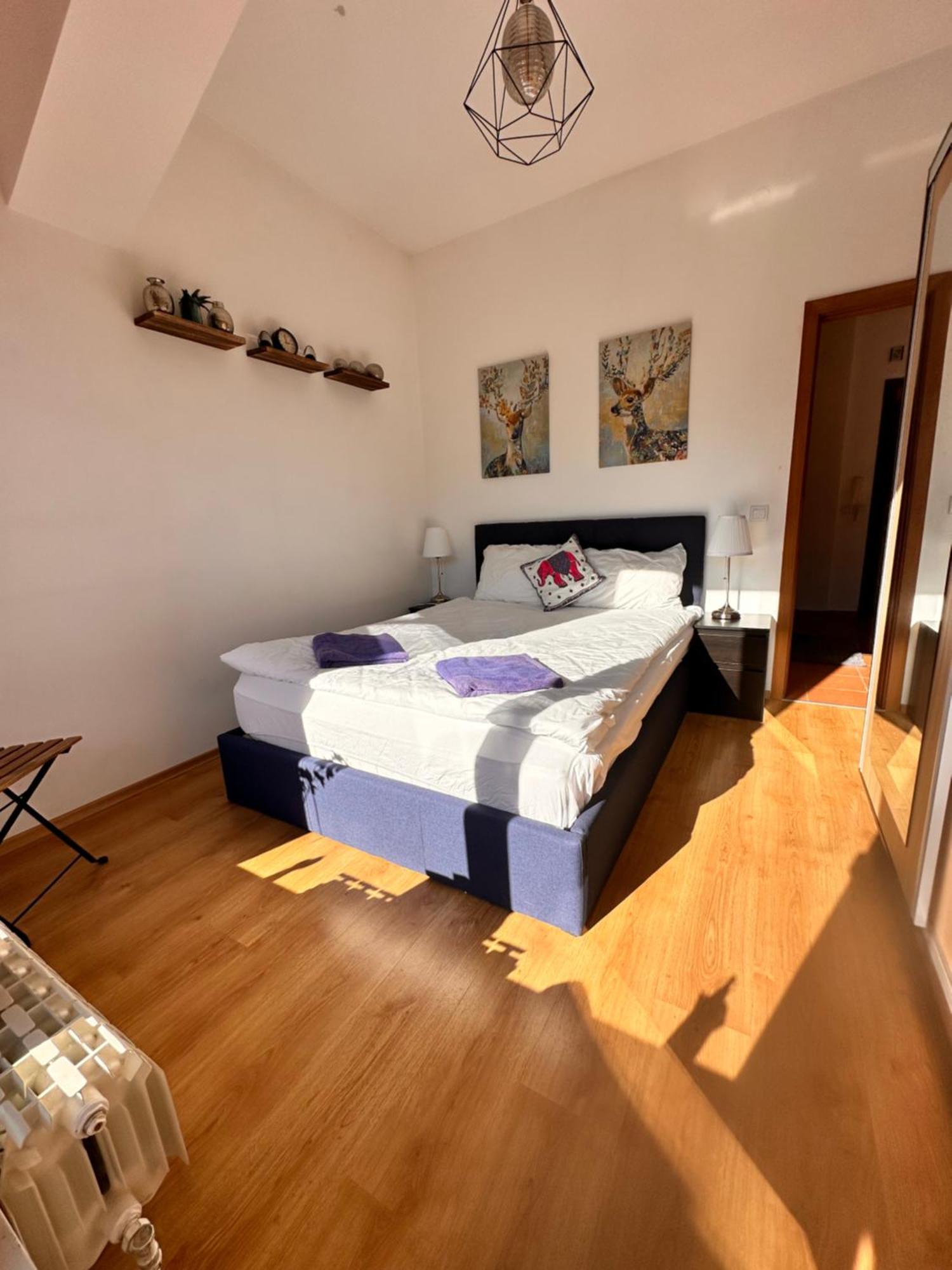 Pm Services Semiramida Apartments ボロヴェッツ エクステリア 写真